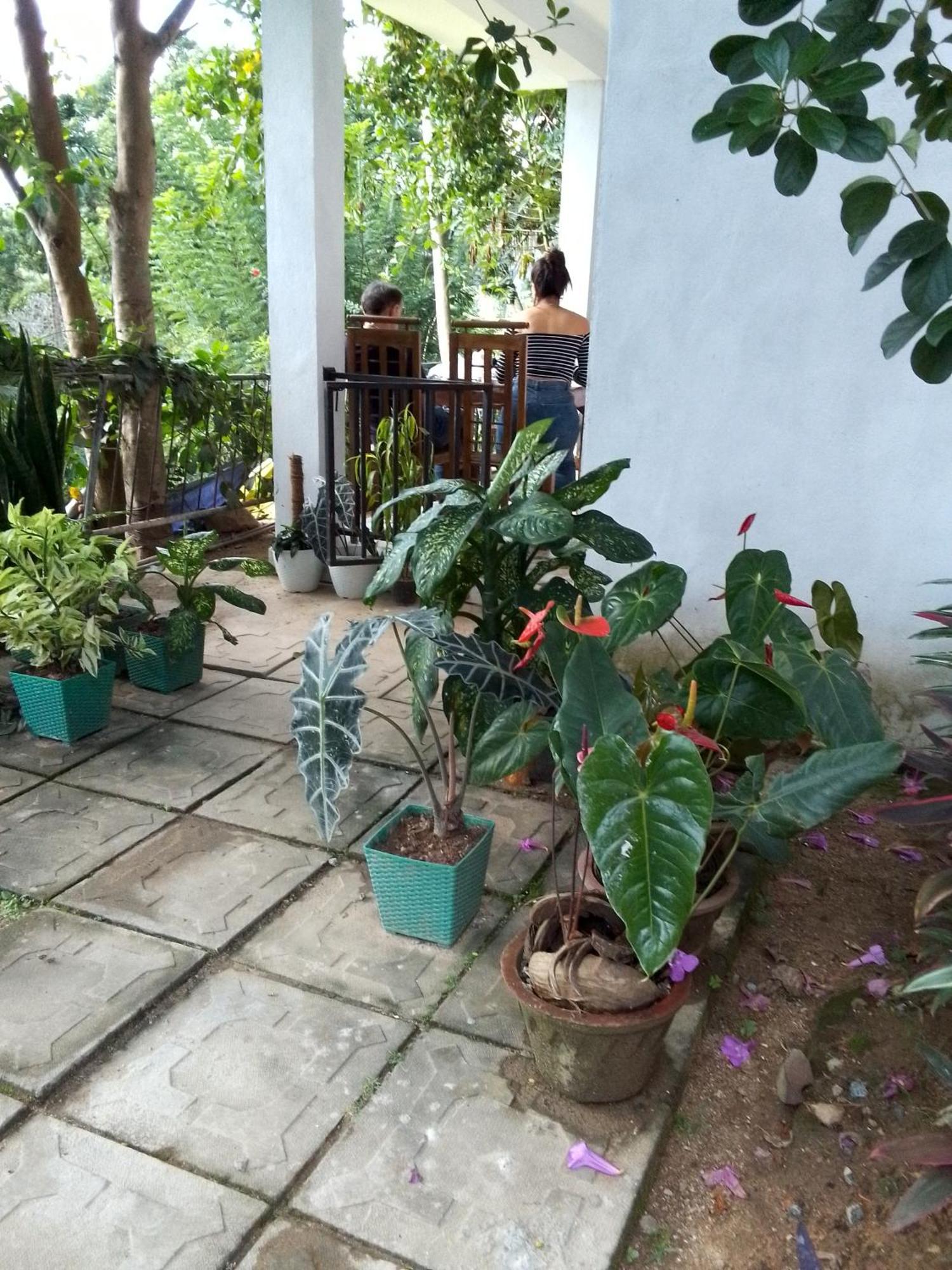Charming View Homestay Ella Zimmer foto